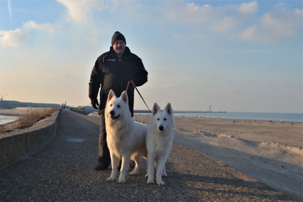 Publication : de Dame Midnight Auteur : Carole cnudde