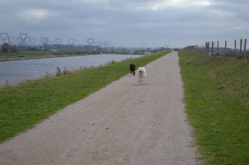 Publication : de Dame Midnight Auteur : Cnudde Carole