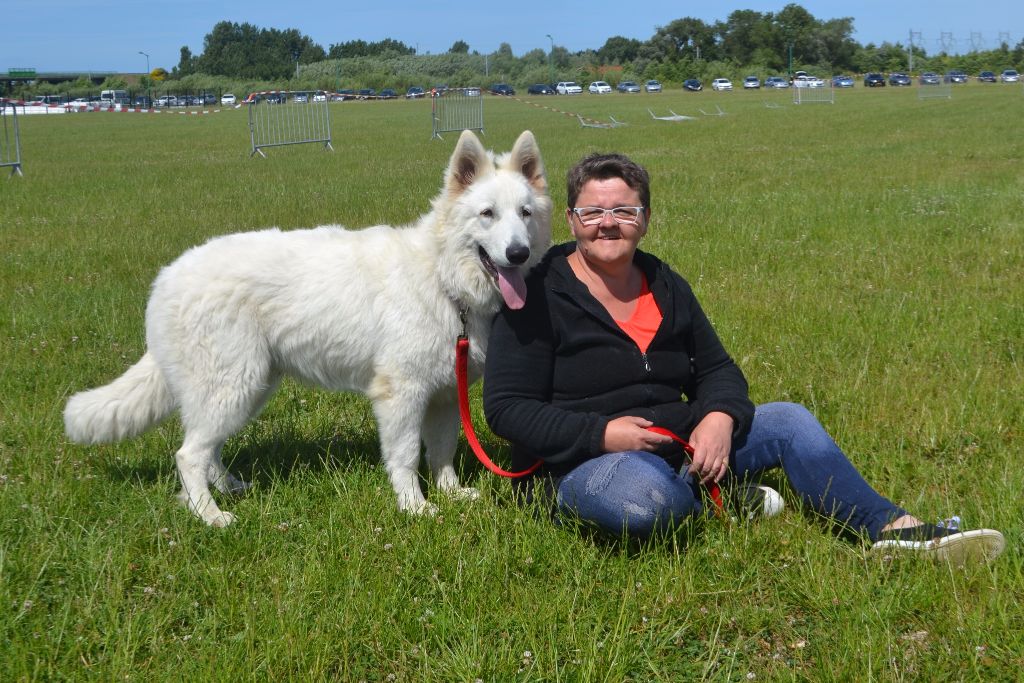 Publication : de Dame Midnight Auteur : Carole cnudde