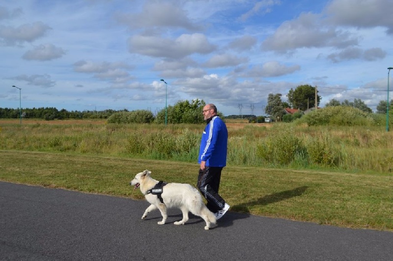 Publication : de Dame Midnight Auteur : Cnudde Carole