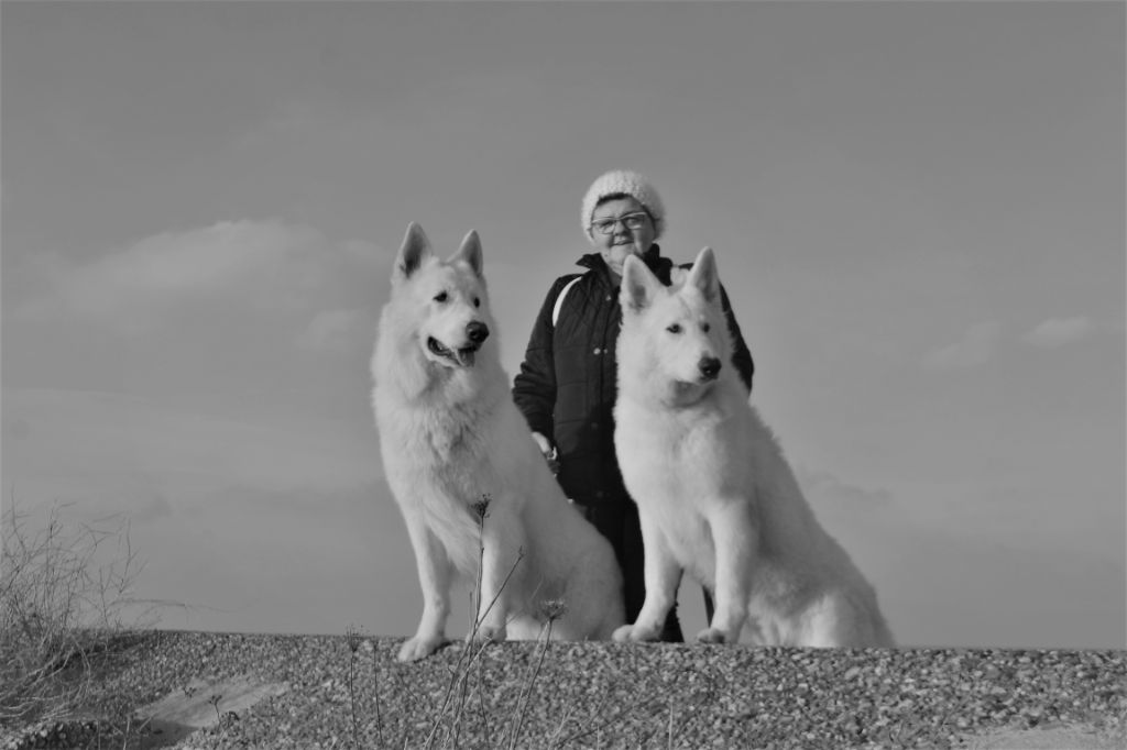 Publication : de Dame Midnight Auteur : Carole cnudde