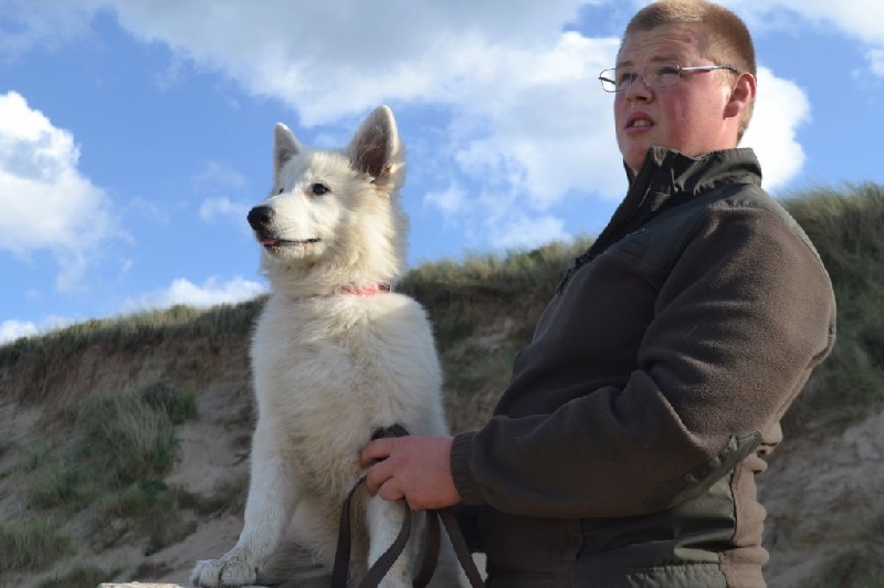 Publication : de Dame Midnight Auteur : Cnudde Carole