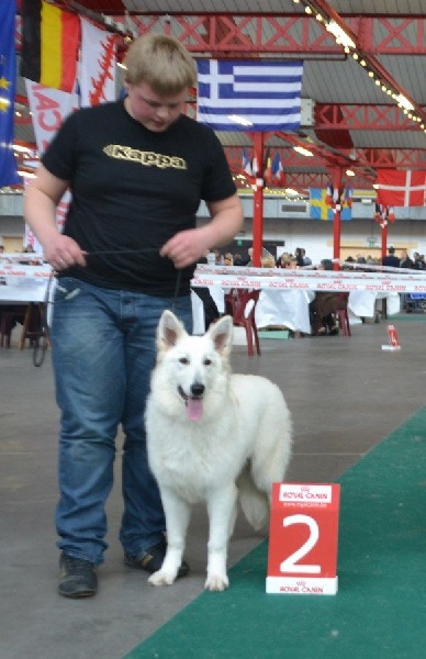 Johansson scarlett (Sans Affixe) - 2 TRES PROMETTEUR (classe puppy)