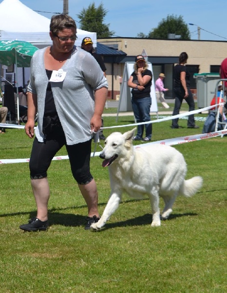 Johansson scarlett (Sans Affixe) - CONFIRMATION / 4 EXCELLENT