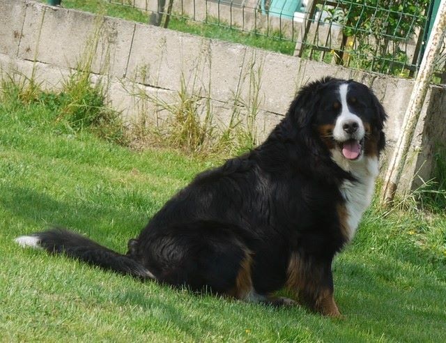 J't'adore du domaine des neiges eternelles