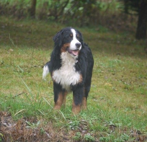 J't'adore du domaine des neiges eternelles