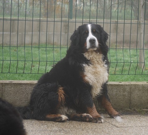 J't'adore du domaine des neiges eternelles