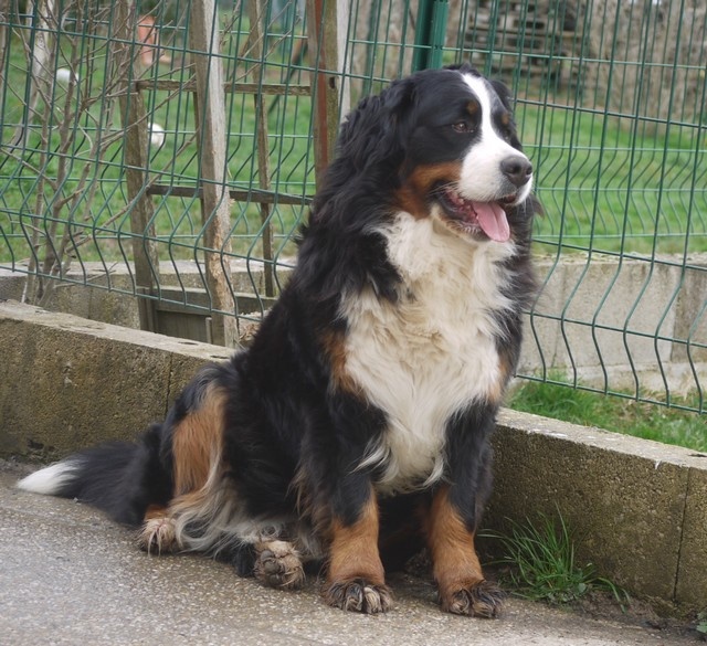 J't'adore du domaine des neiges eternelles