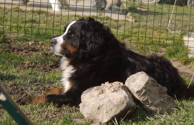 J't'adore du domaine des neiges eternelles