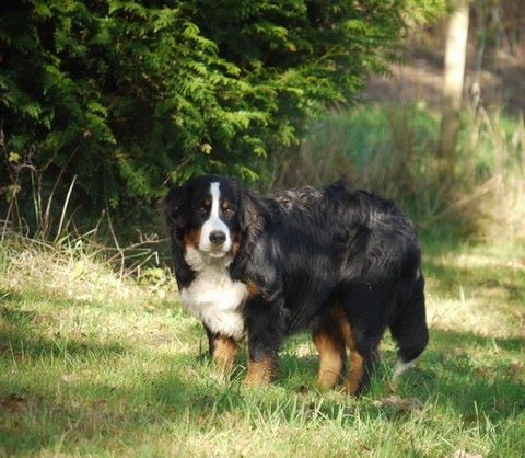 J't'adore du domaine des neiges eternelles