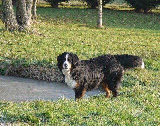 J't'adore du domaine des neiges eternelles