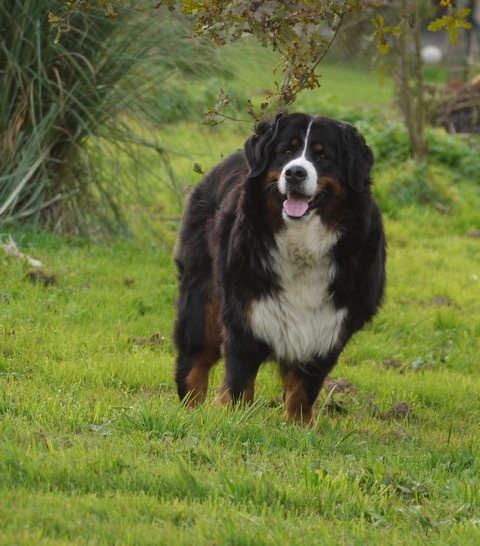 Gwen du domaine des neiges eternelles