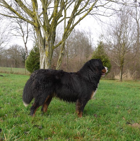 Gwen du domaine des neiges eternelles