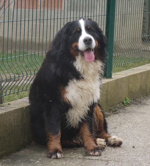 J't'adore du domaine des neiges eternelles