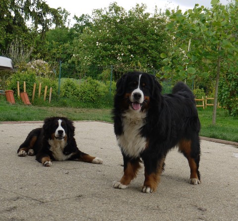 Gwen du domaine des neiges eternelles