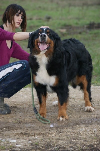 Czena du domaine des neiges eternelles