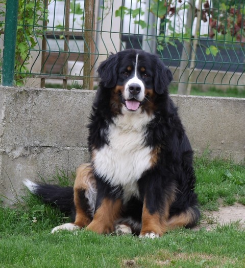 Gwen du domaine des neiges eternelles