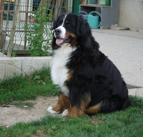 Gwen du domaine des neiges eternelles