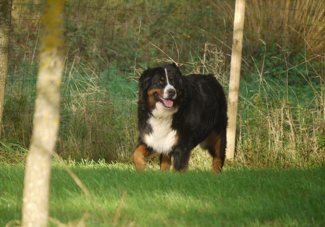 Gwen du domaine des neiges eternelles