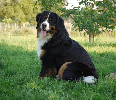 Gwen du domaine des neiges eternelles