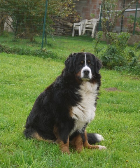 Gwen du domaine des neiges eternelles