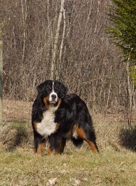 Gwen du domaine des neiges eternelles