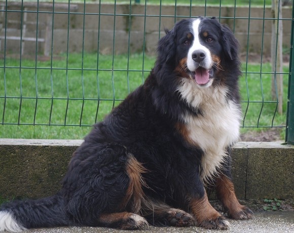 J't'adore du domaine des neiges eternelles