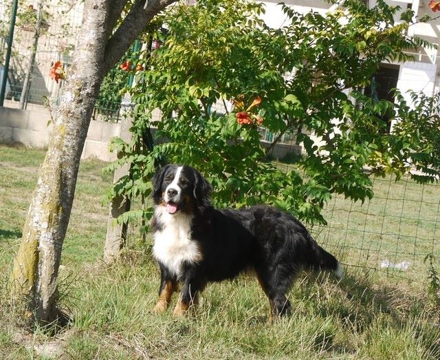 J't'adore du domaine des neiges eternelles