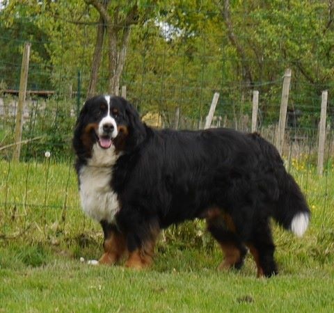 Gwen du domaine des neiges eternelles