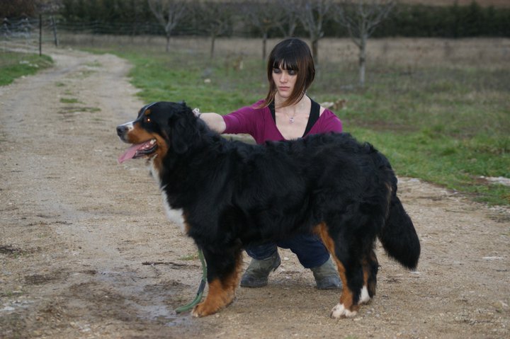 Czena du domaine des neiges eternelles