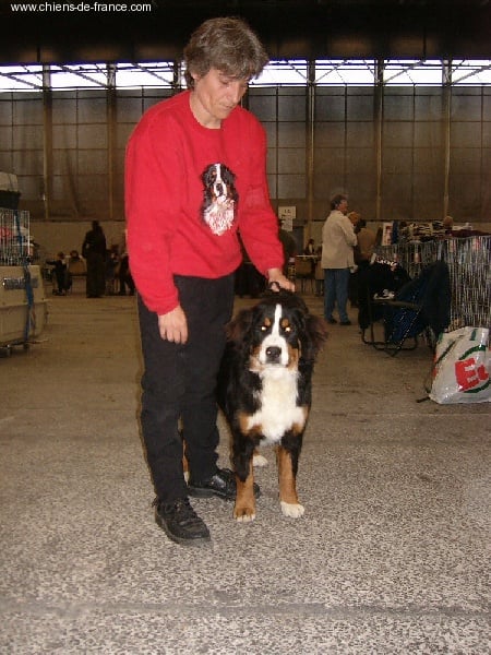 Andgel Du ruisseau de facegorras - 1ER TRES PROMETTEUR