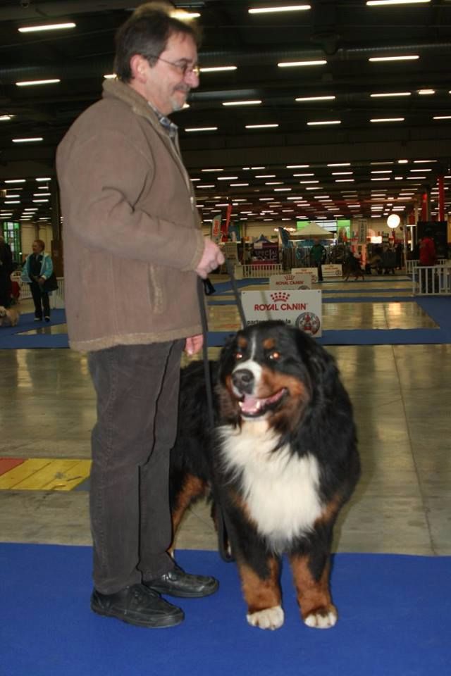 Icare du domaine des neiges eternelles - 3eme excellent