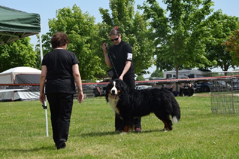 Ipsos du domaine des neiges eternelles - 2eme EXCELLENT