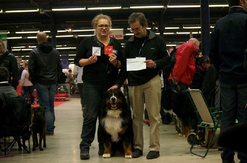 Icare du domaine des neiges eternelles - 1er EXC RCACS RCACIB