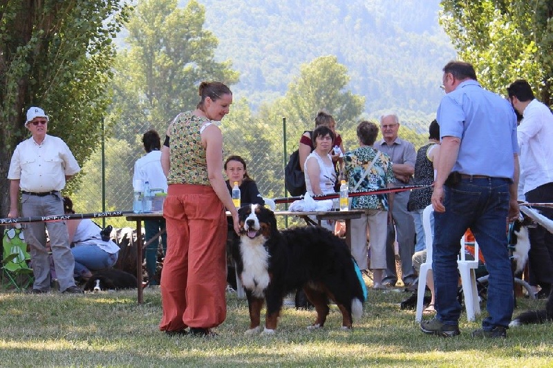 Ipsos du domaine des neiges eternelles - 2eme TRES BON