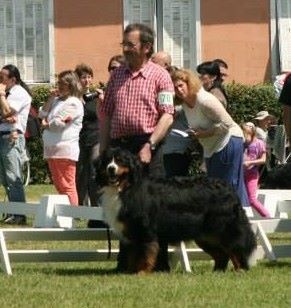 Icare du domaine des neiges eternelles - EXCELLENT