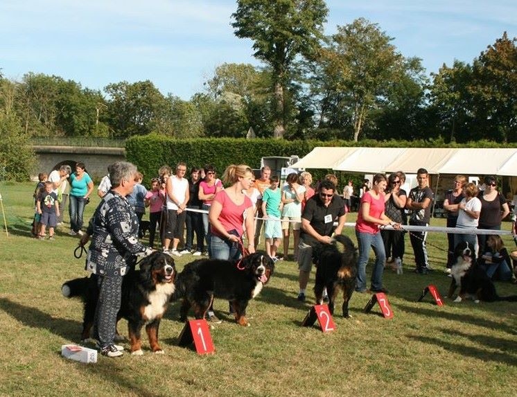 Icare du domaine des neiges eternelles - 1er TRES BON