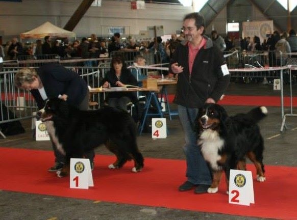 Icare du domaine des neiges eternelles - 2ème EXCELLENT