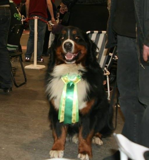 Icare du domaine des neiges eternelles - 2 eme EXC