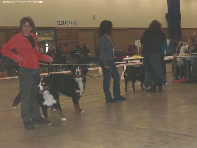 Andgel Du ruisseau de facegorras - 1ere EXC classe intermédiaire