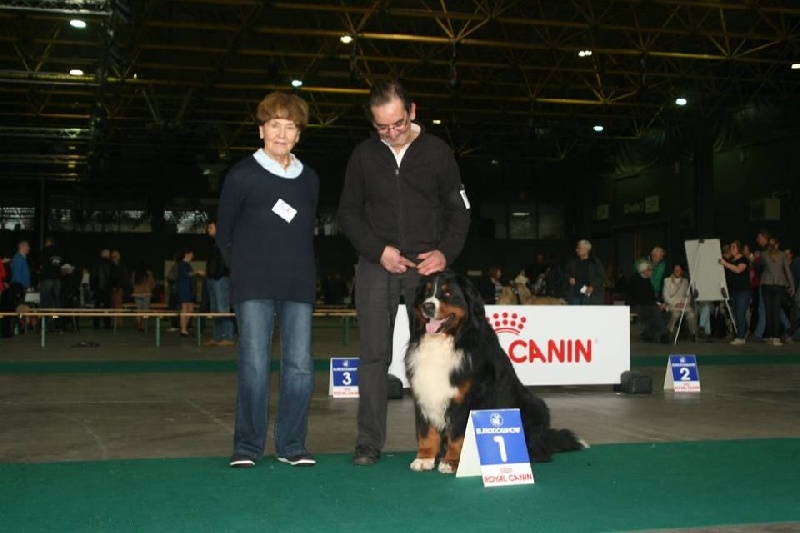Icare du domaine des neiges eternelles - 1er Excellent RCACS et RCACIB