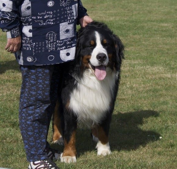 Fanatic fender Bermondo bohemia - 3 ème EXCELLENT