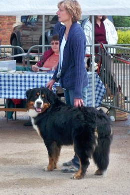 Elwin du domaine des neiges eternelles - TRES BON