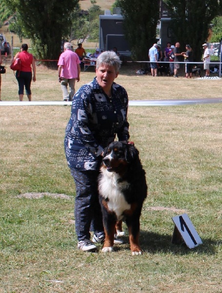 Icare du domaine des neiges eternelles - 1 ER EXCELLENT ET MEILLEUR JEUNE