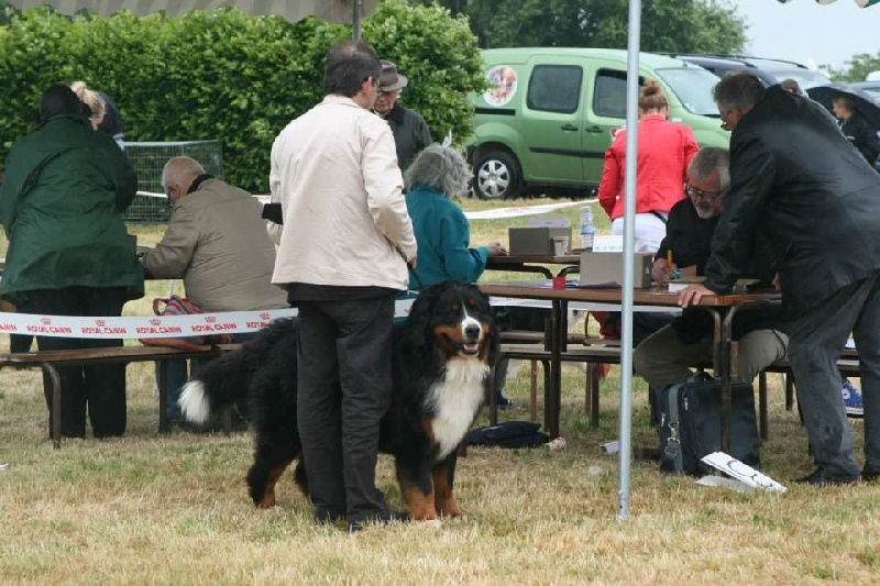 Icare du domaine des neiges eternelles - 1er EXC CACS BOS
