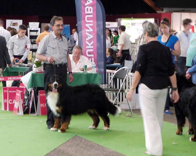 Icare du domaine des neiges eternelles - EXCELLENT