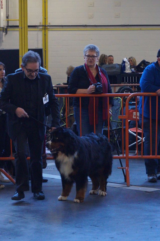 Icare du domaine des neiges eternelles - 1er EXCELLENT