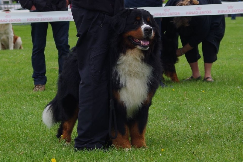 Icare du domaine des neiges eternelles - 3eme excellent