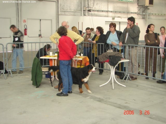 Andgel Du ruisseau de facegorras - 1ERE TRES BON classe jeune