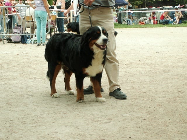 Andgel Du ruisseau de facegorras - 2EME EXC classe intermédiaire